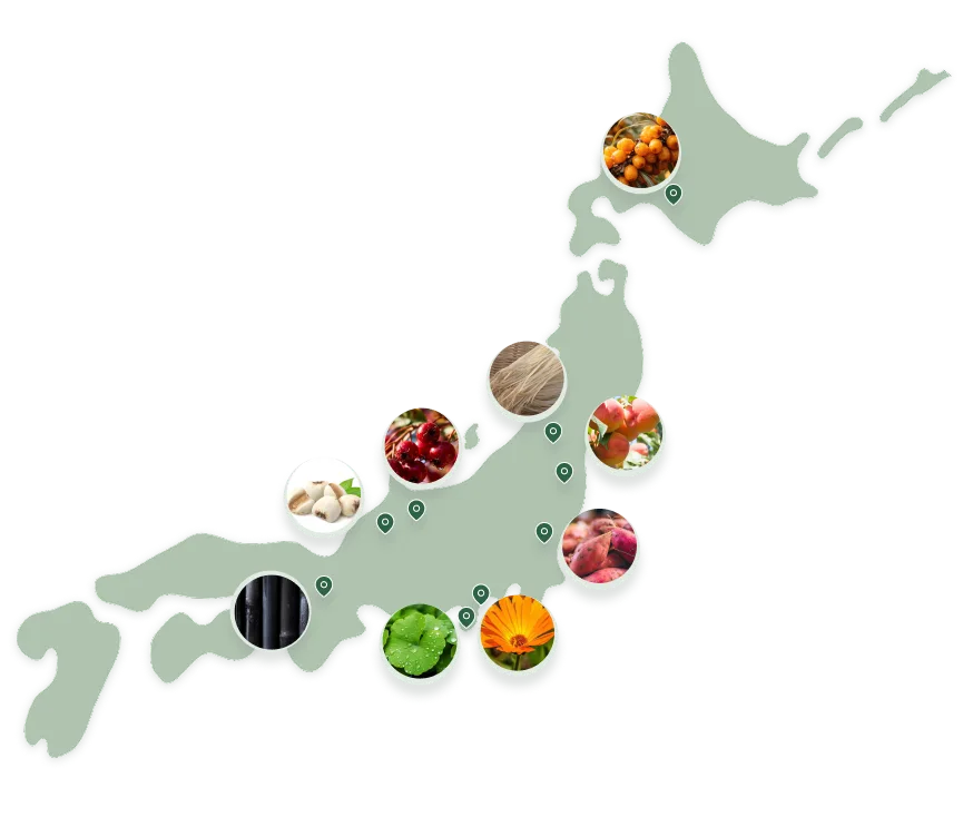 日本各地の植物産地マップ